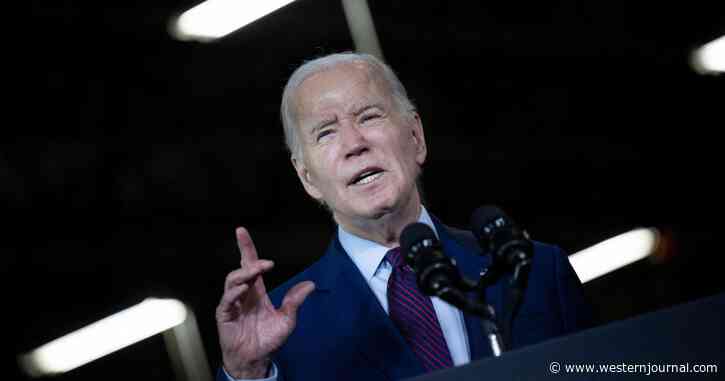 Dem Pollster Sounding the Alarm on Biden: 'His Message Is Just Not Working'