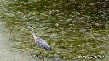 Regnerischer Urlaub in MV: Wenn das Kanu zur Badewanne wird