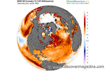 With Temperature and Other Climate Extremes Shattering Records, Should We Call it 'Global Boiling'? 'Weirding'? Or...?
