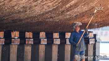 Meerestiere, die auf Schiffsrümpfen wachsen, führen zu höherem CO2-Ausstoss und gefährden Ökosysteme. Doch die Gegenmittel sind hochgiftig