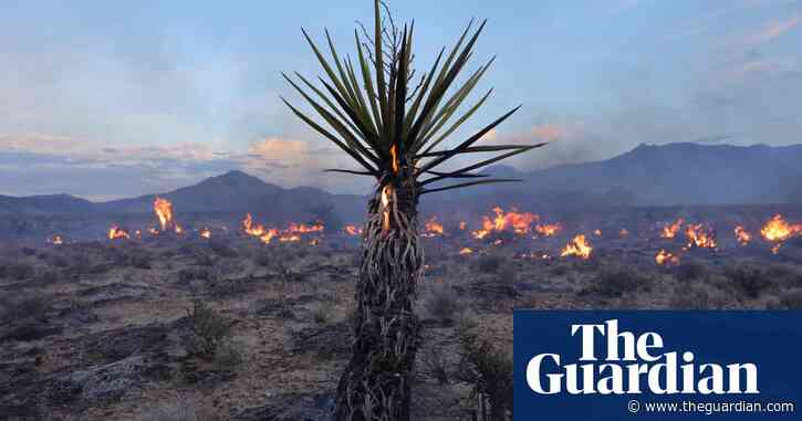 Erratic winds pose fresh threat to firefighters as rain helps with Mojave desert fire