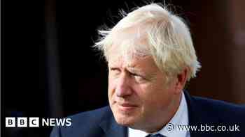Boris Johnson's swimming pool plans threatened by newts