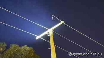 Alleged copper wire thieves 'taking chainsaws and hacksaws' to dozens of NSW power poles