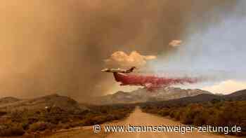 Fortschritt bei Feuerbekämpfung in Kaliforniens Mojave-Wüste