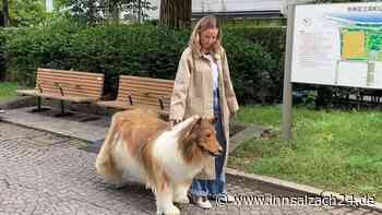 Mann gibt 14.000 Dollar aus, um sich in Hund zu verwandeln – Video zeigt seinen ersten Spaziergang