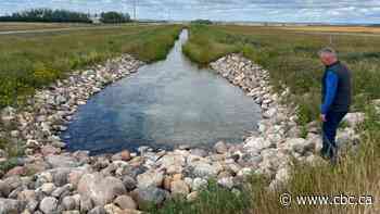 Sask. producers say irrigation makes all the difference amid drought struggles