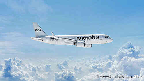 Marabu: Airline-Chef Schwaiger nimmt den Hut