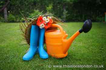 Enfield Council slammed over garden and parking licence fees