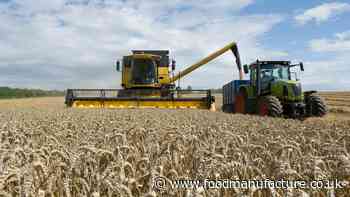 UK fertiliser manufacturer shuts down ammonia production amid cost concerns