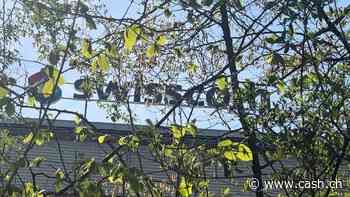 Drücken Sonderfaktoren und der schwache Euro auf das Swisscom-Resultat?