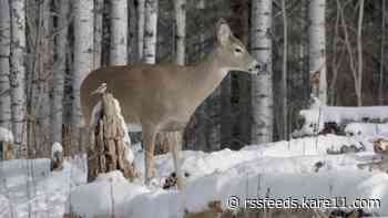 DNR announces major updates to deer hunting rules