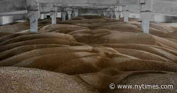 As Russia Strikes Ports, Ukraine Scrambles to Continue Grain Exports