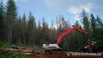 The world's resource bank is 'empty': Here's what that means