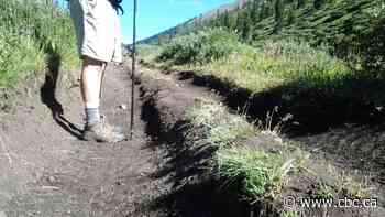 Off-highway vehicle restrictions needed in Bighorn Backcountry to mitigate trail damage, group says