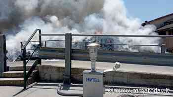 Incendio Ciampino, valori diossina ancora in aumento. Sopralluogo al mercato settimanale
