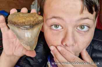 Hemel Hempstead boy makes rare shark tooth discovery