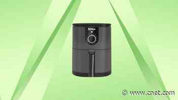 Grab This 2-Quart Ninja Air Fryer While It's Half Price     - CNET