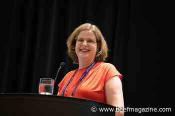 BETSY delivers sophisticated cattle phenotyping system