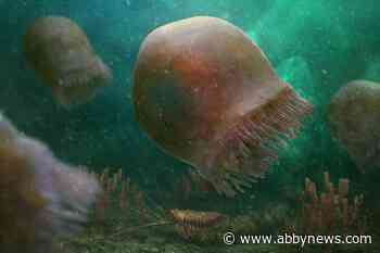 Researchers find oldest-known species of swimming jellyfish in Canadian Rockies