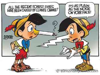 Malcolm Mayes editorial cartoons for August 2023