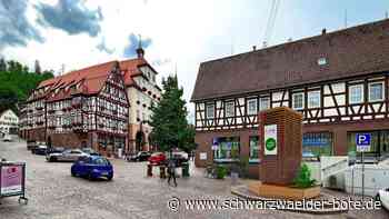 „CO2-Schlucker“ in Calw: Ein City Tree soll die Innenstadt aufwerten