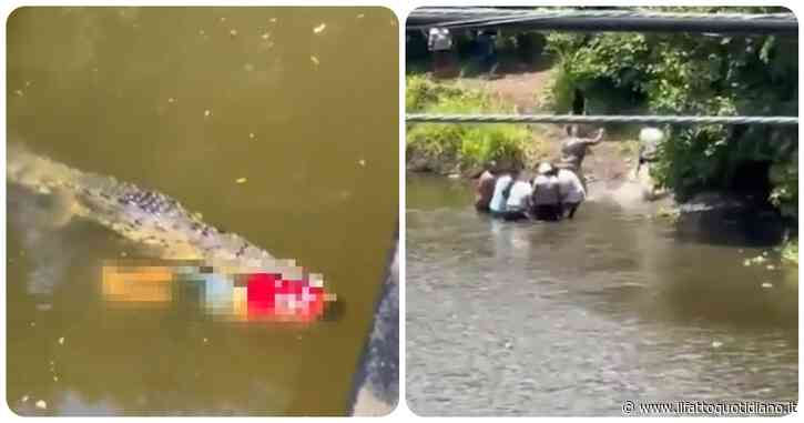 Calciatore muore divorato da un coccodrillo. La polizia gli spara per recuperare il cadavere intrappolato tra le fauci