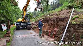 Sanierungs-Projekt in Bad Teinach-Zavelstein: Erst die Mauer, dann die Ziegen