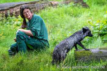 Neue Bewohner im Tierpark Olderdissen in Bielefeld