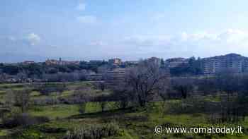 Cinecittà Studios non punta più sul “pratone”: così guadagna posizione l’ipotesi del “parco”