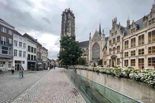 Tweetal staat terecht voor zware vechtpartij onder Sint-Romboutstoren: “De schoppen tegen het hoofd waren potentieel dodelijk”