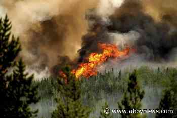August can be the most challenging month for B.C. wildfires, says Ma