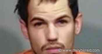 Palatine man pleads guilty to possessing child pornography