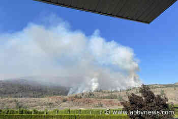 VIDEO: Cross-border 1k hectare controlled burn for Eagle Bluff Wildfire near Osoyoos