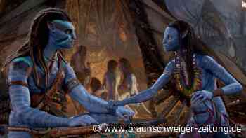 WMG zeigt „Avatar: The Way of Water“ kostenlos am Allersee