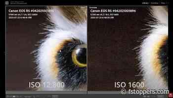 Why You Shouldn’t Always Default to ISO 100