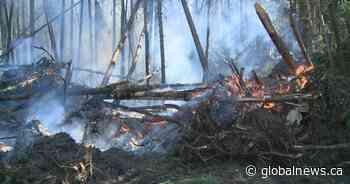 Around 300 people evacuated from northern Saskatchewan due to wildfire smoke