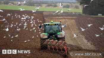 Almost £1m lost to rural theft in Devon and Cornwall - insurer