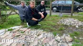 'Shocking' Swindon lake fish deaths as oxygen levels drop