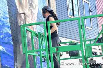 Muralists making art more accessible in the streets of Chilliwack ‘a magical thing’