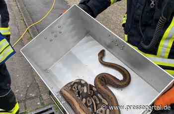 FW-DT: Wohnungsbrand Feuer - MIG