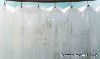 ‘Natural’ and ‘simple’ method to clean shower curtains that doesn't cause ‘yellowing’