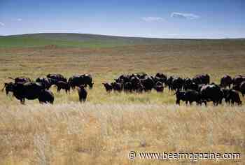 URUS acquires majority stake in Leachman Cattle of Colorado