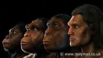 Climate change may have given ancient human ancestors bigger brains, study finds