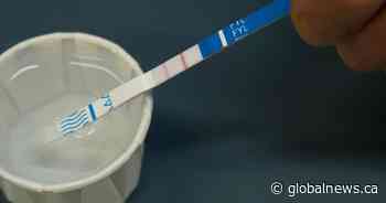 Alberta fentanyl-related deaths up 5,000% in 10 years, study reveals toxicity cause