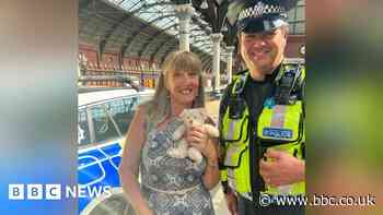 Widow reunited with toy bear stolen from train