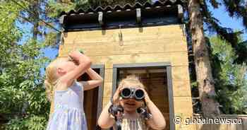 Canada-wide ‘Big Backyard Bioblitz’ helps conservation efforts