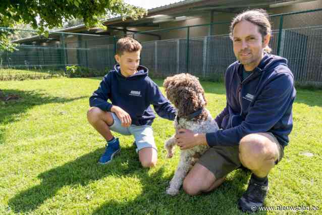 BIJ DE ZAAK. Hondenhotel Amandus legt viervoeters in de watten: “De baasjes hebben het soms moeilijker om afscheid te nemen dan de honden”