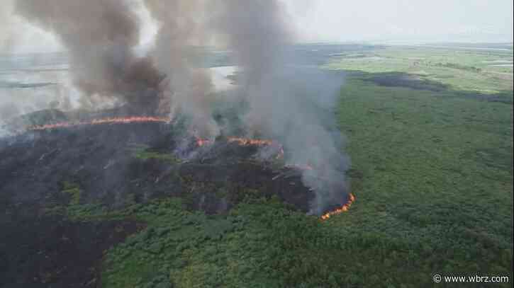 State climatologist: 'Conditions right now are definitely conducive for fires all across south Louisiana'