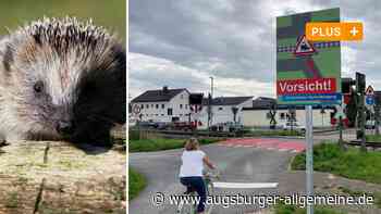 Igel plötzlich weg: Pfeifende Züge am Bahnübergang nerven nicht nur Anwohner