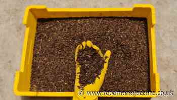 Harper Adams leading £1m insect farm scheme with agri-tech partner
